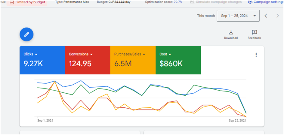 Perfume Brand: Google Ads Performance Max campaign report