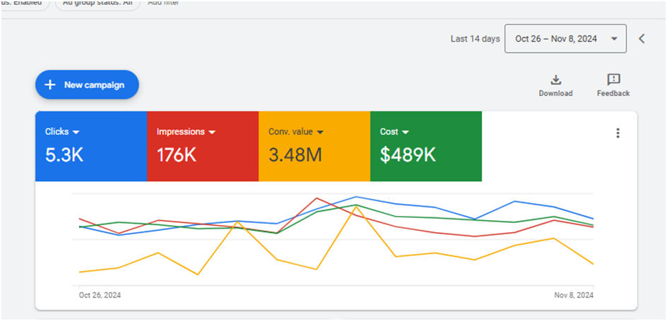 Perfume Brand: Google Ads campaign performance overview